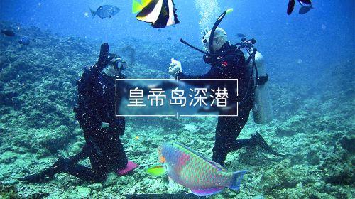 一加12全球版发布 售价799.99美元起 对标三星S24