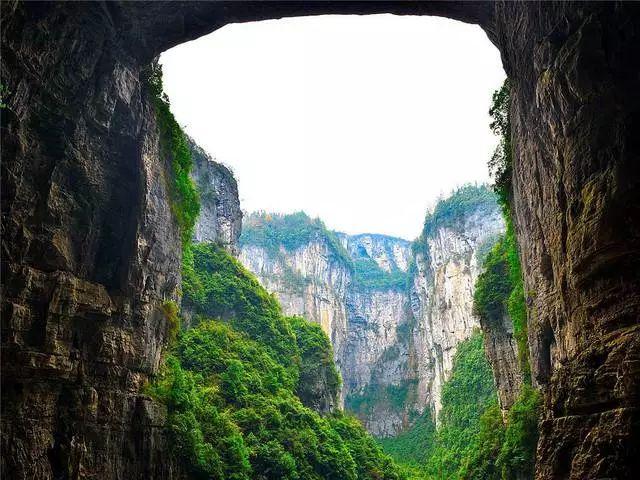 叔叔阿姨总是问自己的学习成绩，我该怎么回答呢？游戏画面