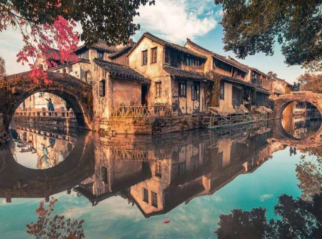 细胞分裂6